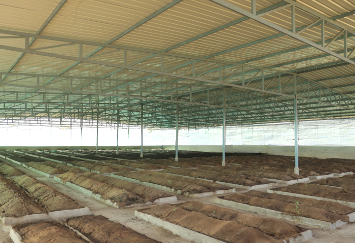 best vermicompost brand