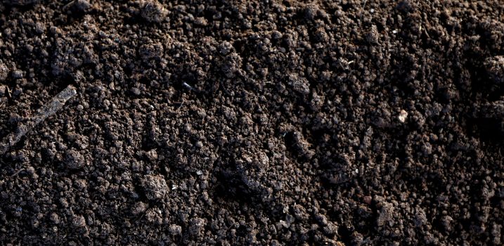 soil
